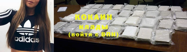 меф Менделеевск