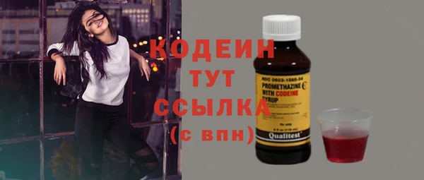меф Менделеевск